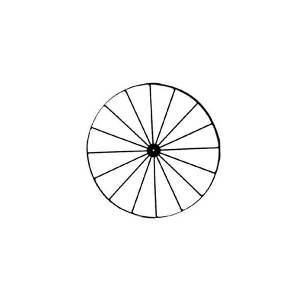 24-inch Wheel with 16 Spokes